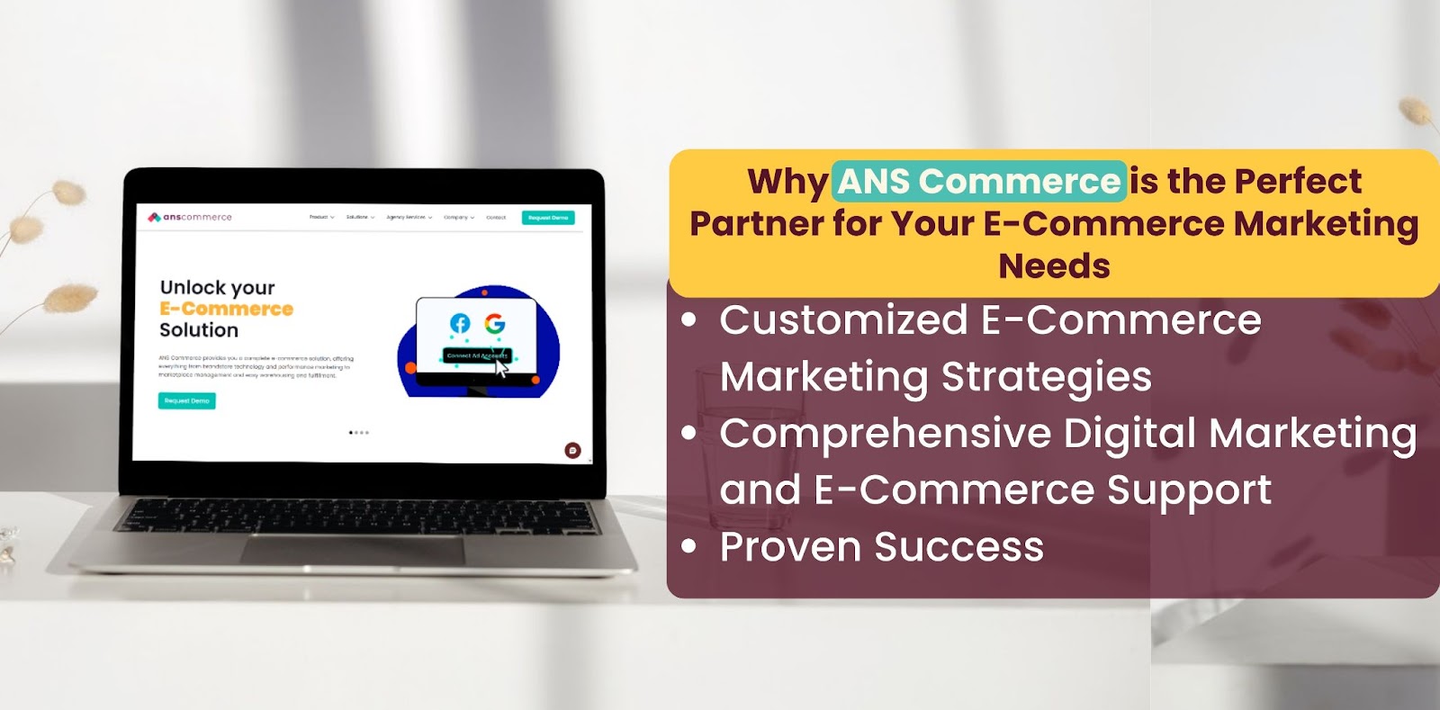 NS Commerce is the Perfect Partner for Your E-Commerce Marketing